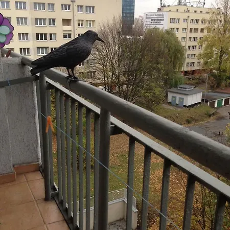 Appartement Apartament Deluxe 150 M Od Spodka Katowice